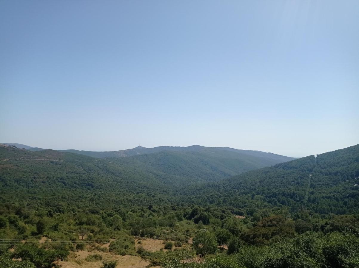 Maison De Village, Charmante Et Authentique, Haute-corse Vezzani